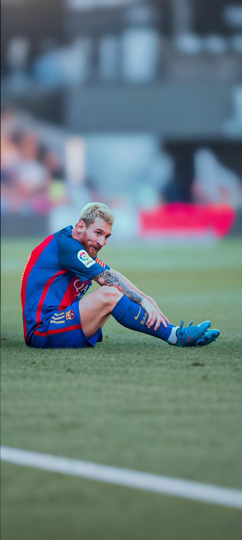 官方：德国将举办2029年女足欧洲杯（德国确定承办2029年女足欧洲杯）